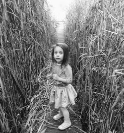 Portrait of girl standing on field