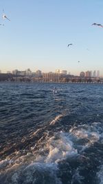 Seagull flying over sea against sky