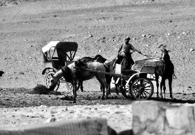 People riding horse cart