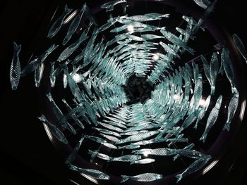 Close-up of illuminated lighting equipment