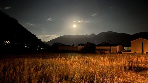 evening