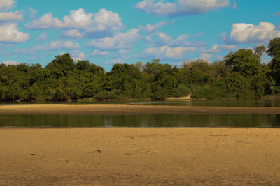 Scenic view of lake by trees against sky