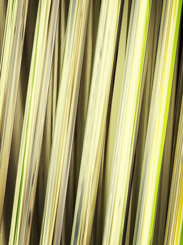 full frame, backgrounds, pattern, green color, textured, close-up, detail, in a row, repetition, growth, no people, natural pattern, design, outdoors, day, abundance, green, side by side, abstract, nature