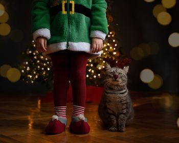 Low section of person standing by christmas tree