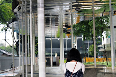 Rear view of woman standing by tree