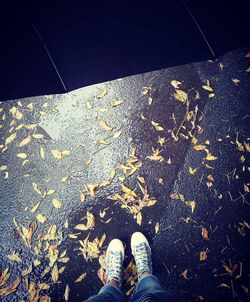 Low section of man standing on autumn leaves