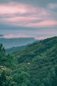 Scenic view of landscape against sky during sunset