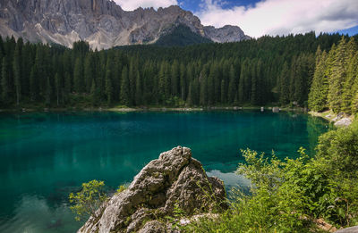 Scenic view of pine trees by lake against sky