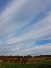 Scenic view of vineyard against sky