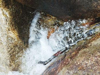 Close-up of water flowing through rocks