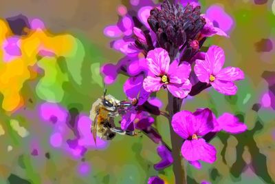 Close-up of honey bee on flower