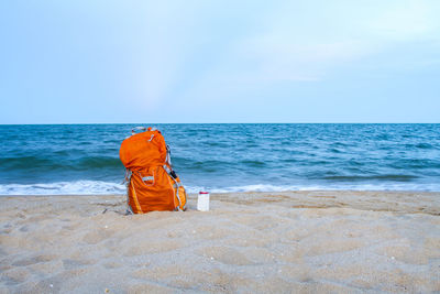 Rear view of people sitting on beach