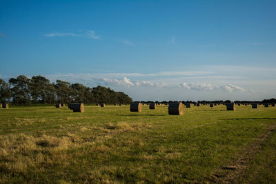 Hay bales on field against sky