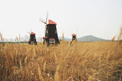 Panoramic view of agricultural field against clear sky
