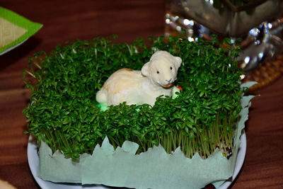 Close-up of sheep figurine amidst seedlings on table