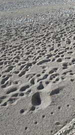 High angle view of footprints on sand at beach