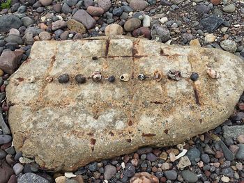 Full frame shot of stones