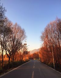 Road amidst trees against clear sky