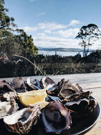 Close-up of food in plate against sky