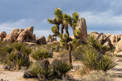 Low angle view of rock formations