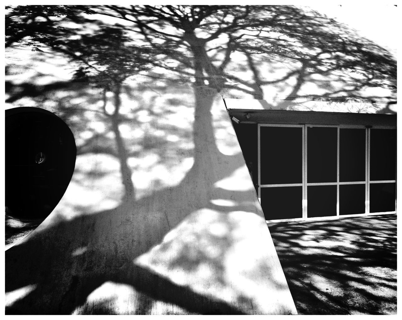 transfer print, auto post production filter, tree, built structure, sky, low angle view, building exterior, shadow, day, architecture, bare tree, silhouette, branch, close-up, sunlight, outdoors, window, one person, part of, focus on foreground