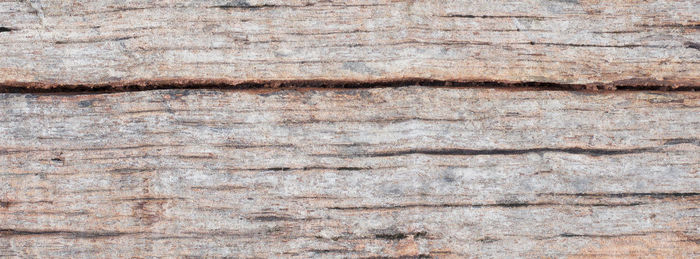 Old natural wood texture for banner background