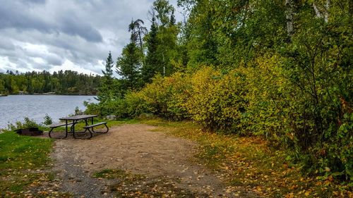 Trees by river against sky in park during autumn