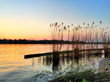 Scenic view of lake at sunset