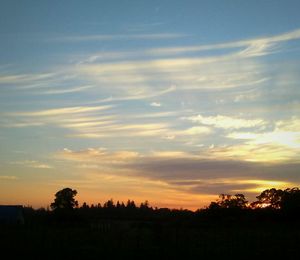 Silhouette trees against sky during sunset