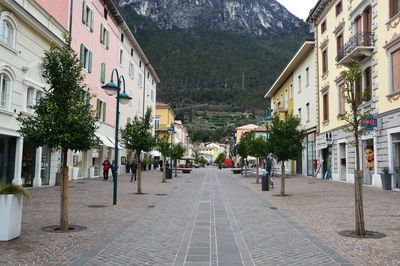 Panoramic view of trees and mountains against sky