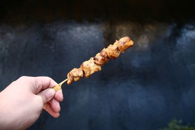 Cropped image of person holding skewer with meat