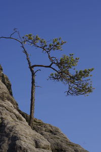 Low angle view of rocks against clear blue sky