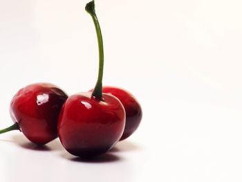 Close-up of tomatoes against white background