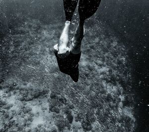 Low section of man swimming in sea