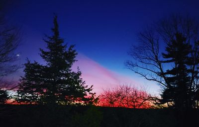 Low angle view of silhouette trees against sky at sunset