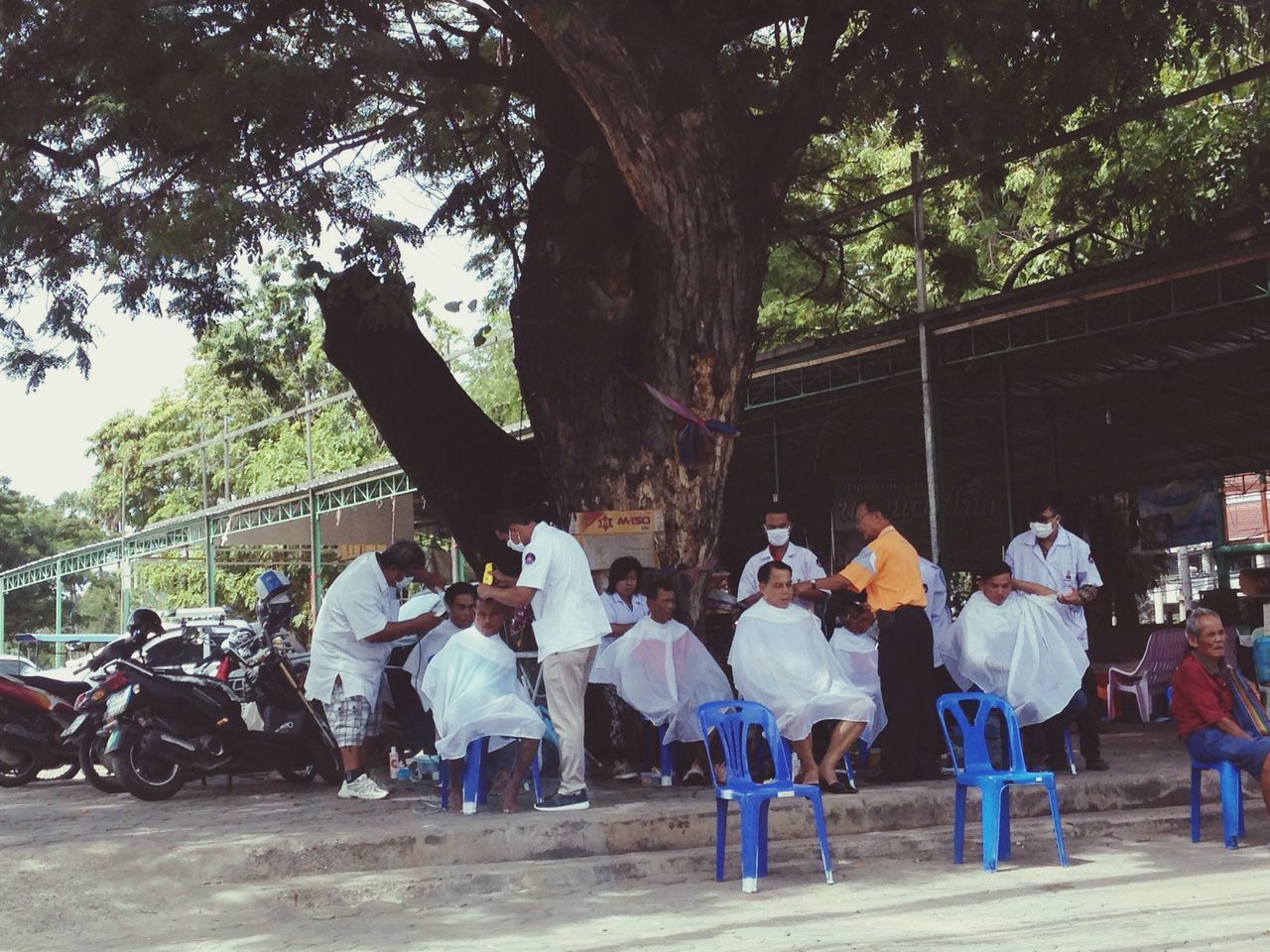 men, person, lifestyles, tree, large group of people, leisure activity, togetherness, rear view, casual clothing, full length, street, walking, medium group of people, mixed age range, city life, outdoors, day, city, sitting