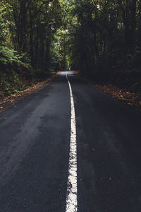 Empty road along trees in forest