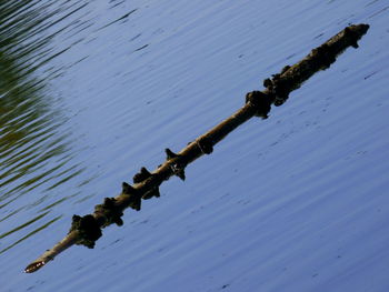 Close-up of water