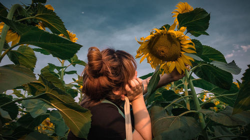 Low angle view of sunflower against sky