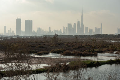 Flamingoes in ras al khor wildlife sanctuary, ramsar site, flamingo hide2, dubai, uae