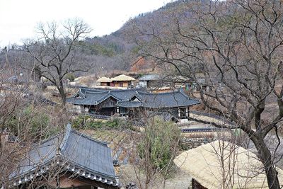 High angle view of bare trees and buildings against sky