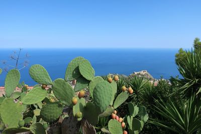 Scenic view of sea against blue sky