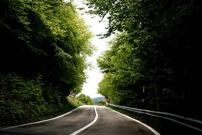 Empty road along trees and plants