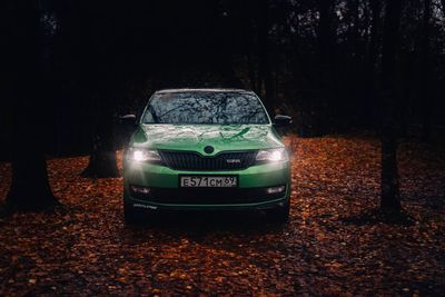 Vintage car on road in forest