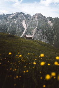Scenic view of snowcapped mountains against sky