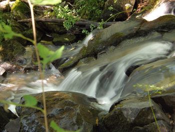 Stream flowing through rocks in forest