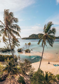 Palm trees on beach against sky