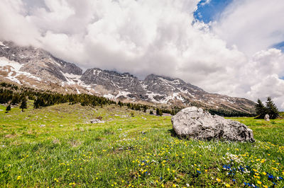 Scenic view of field against sky