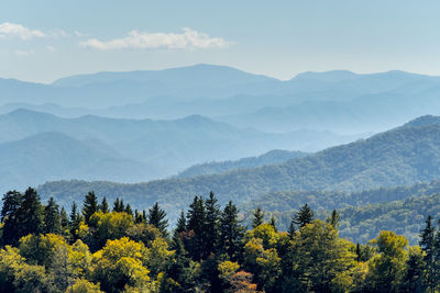 Smoky mountains national park, newfound gap, border of north carolina and tennessee, united states