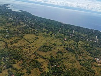 High angle view of plants on land